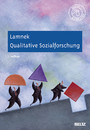 Qualitative Sozialforschung - Mit Online-Materialien